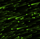 3d particle field